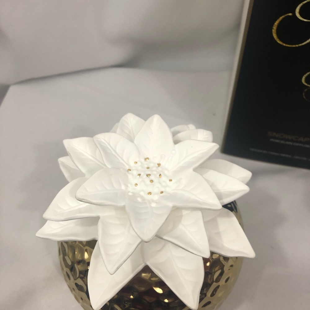 Porcelain Oil Diffuser Fragrance Oil Floral - Picture 3 of 8